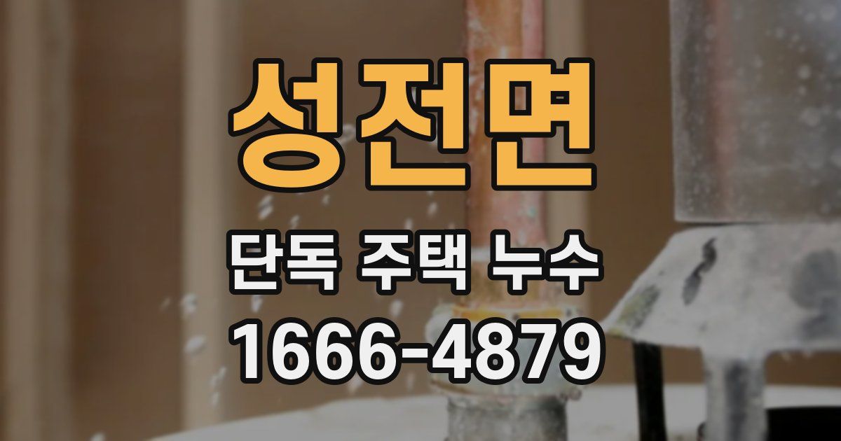 성전면 단독 주택 누수