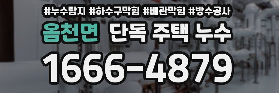 옴천면 단독 주택 누수