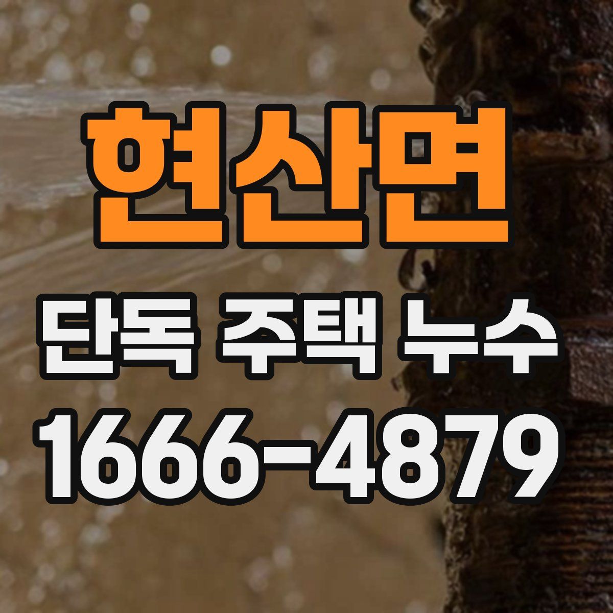 현산면 단독 주택 누수