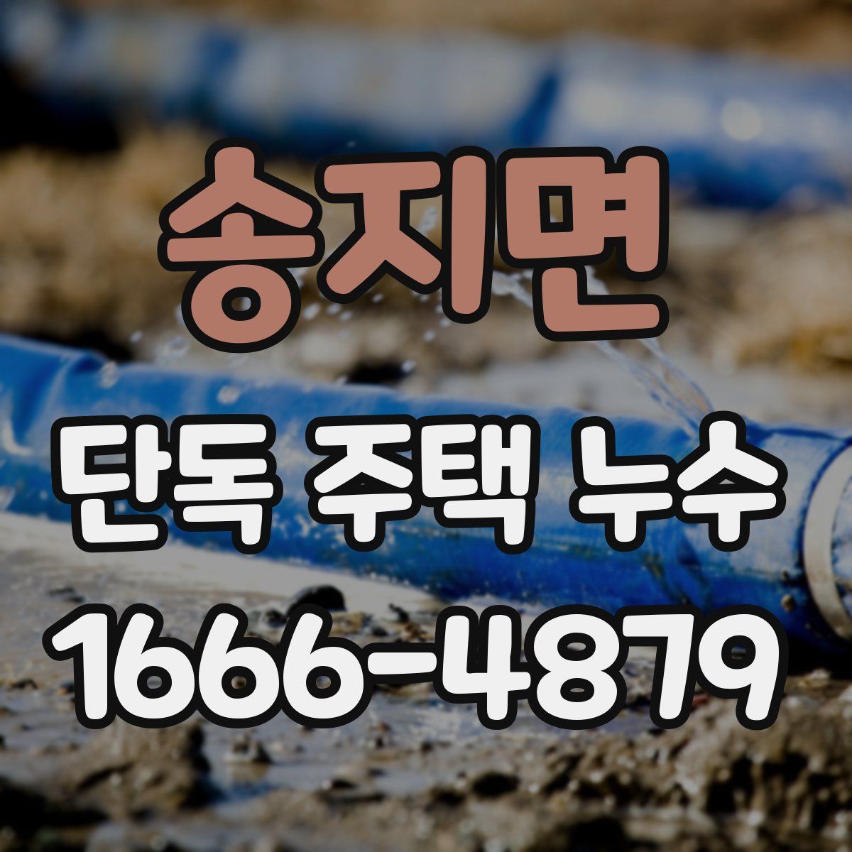 송지면 단독 주택 누수