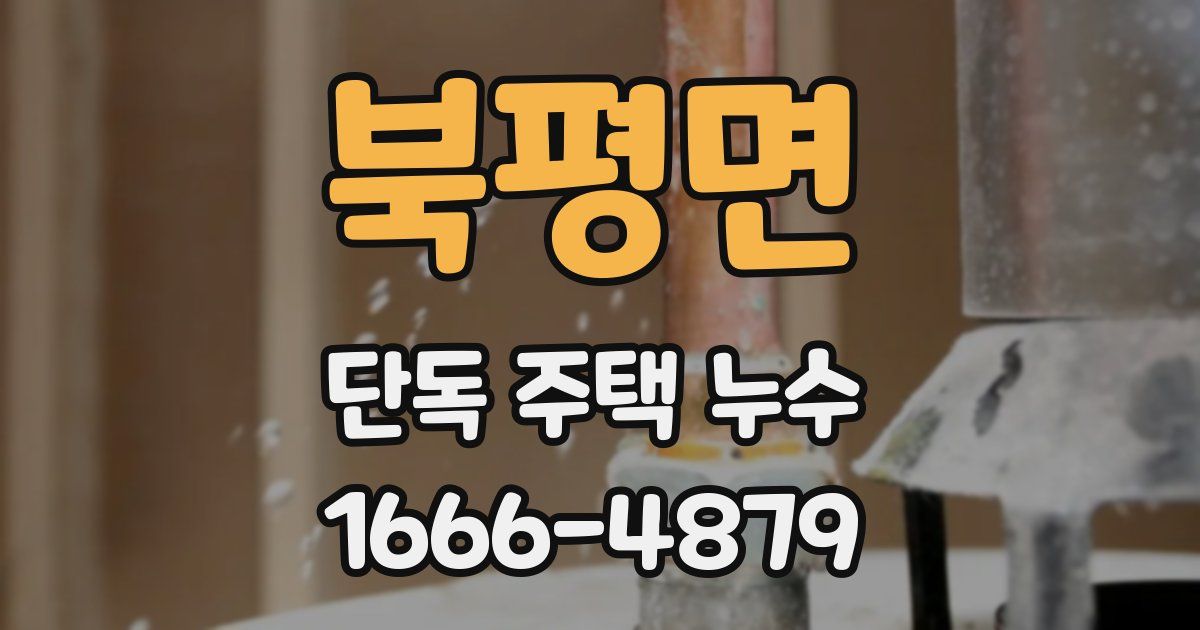 북평면 단독 주택 누수