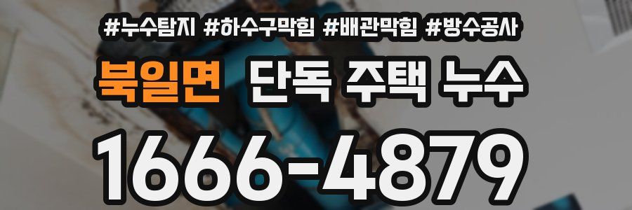 북일면 단독 주택 누수
