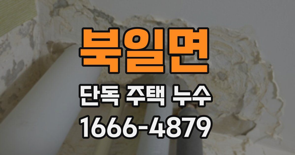 북일면 단독 주택 누수