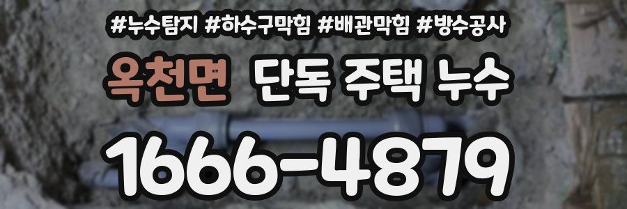 옥천면 단독 주택 누수