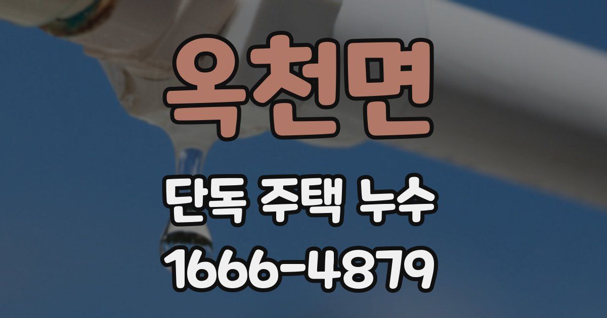 옥천면 단독 주택 누수