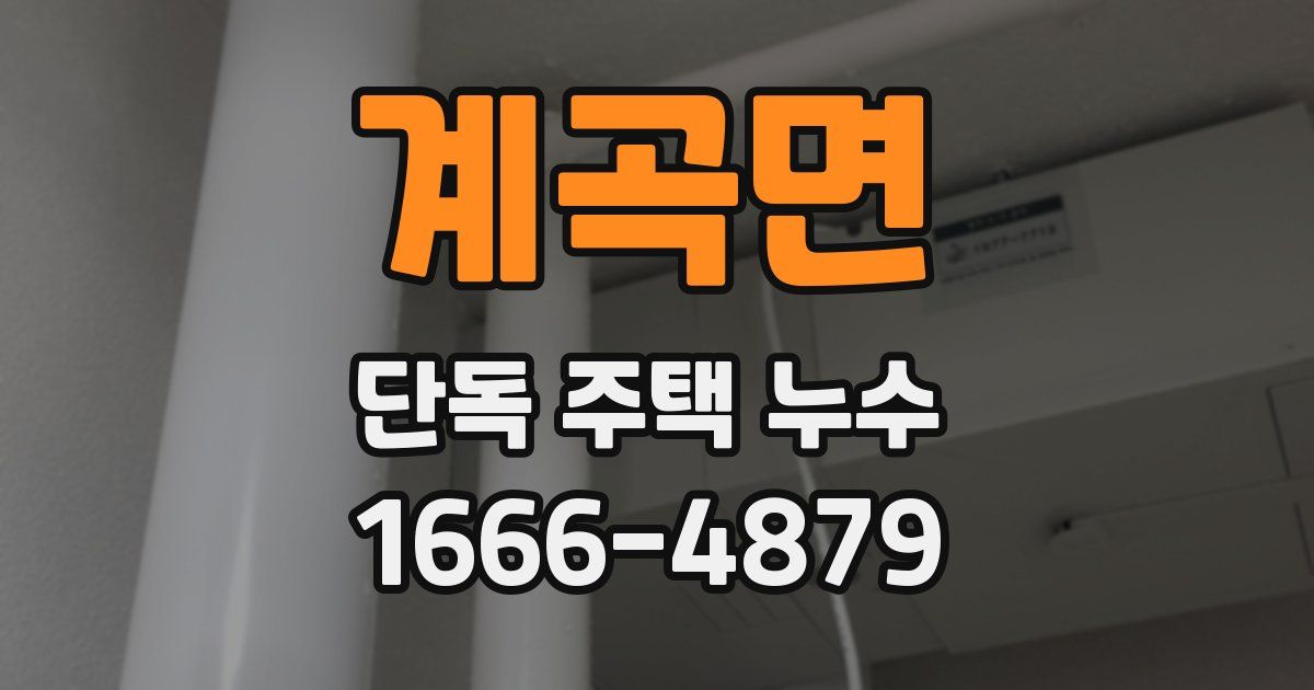계곡면 단독 주택 누수