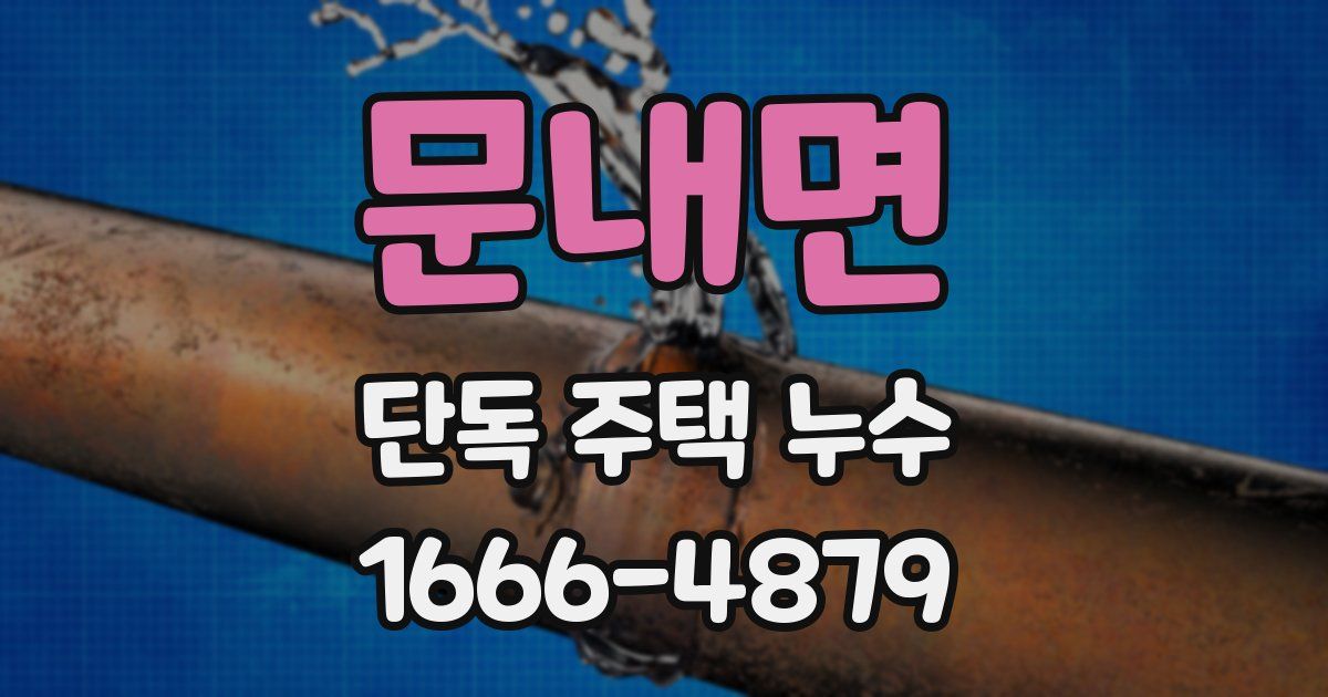 문내면 단독 주택 누수