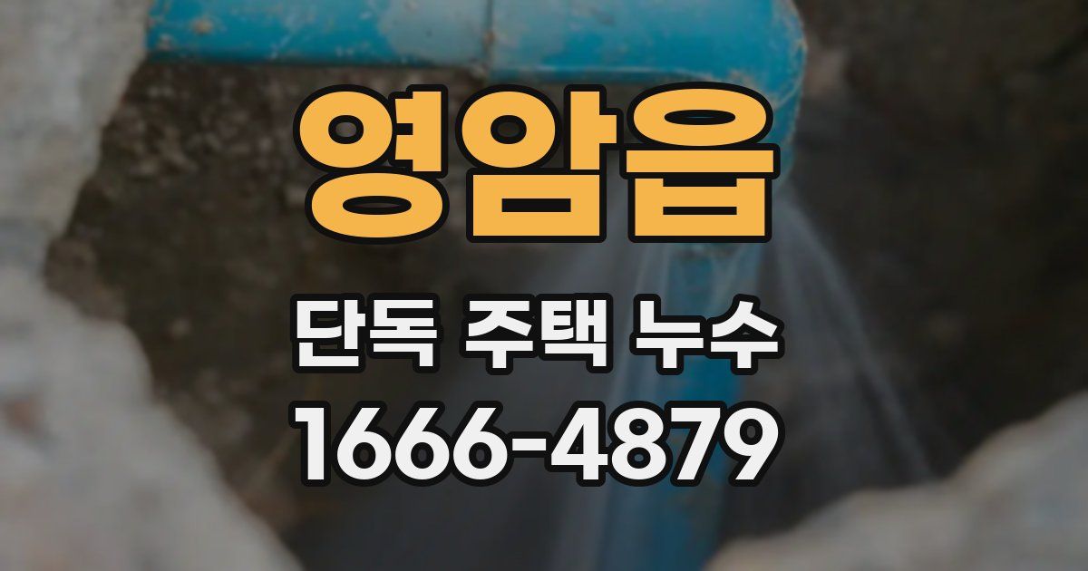 영암읍 단독 주택 누수
