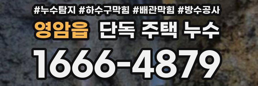 영암읍 단독 주택 누수