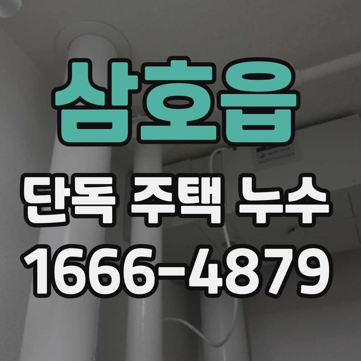 삼호읍 단독 주택 누수