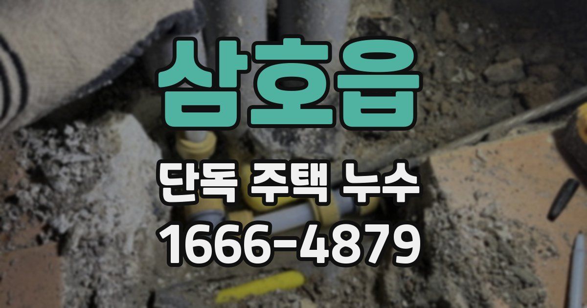 삼호읍 단독 주택 누수