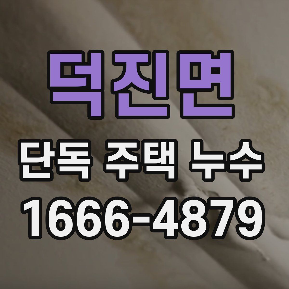 덕진면 단독 주택 누수 점검으로 알 수 있는 구조 문제