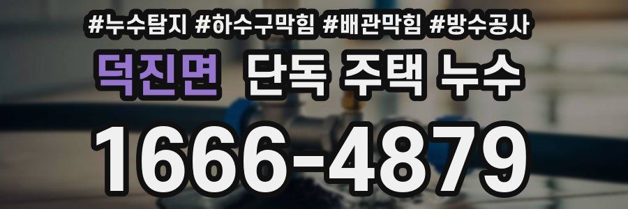 덕진면 단독 주택 누수