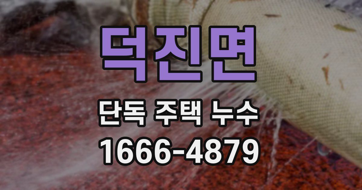 덕진면 단독 주택 누수