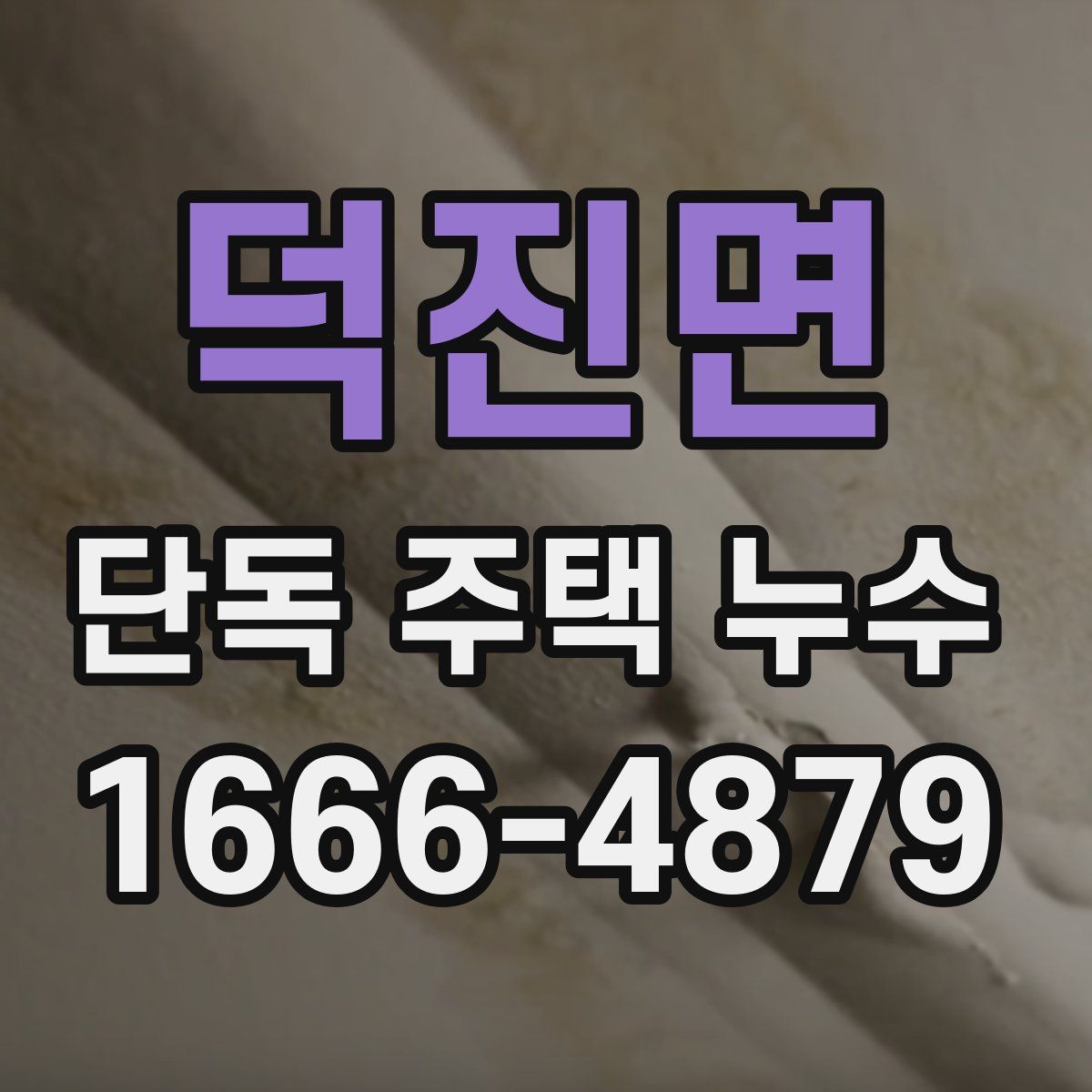 덕진면 단독 주택 누수