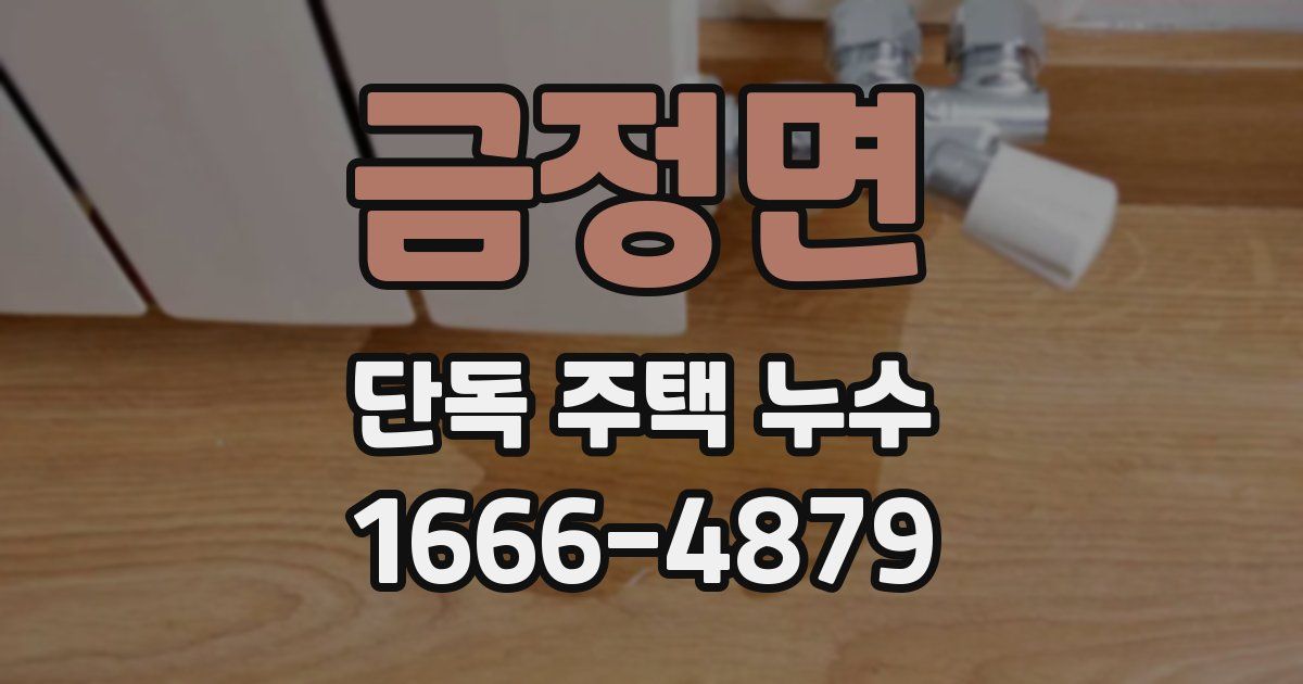 금정면 단독 주택 누수
