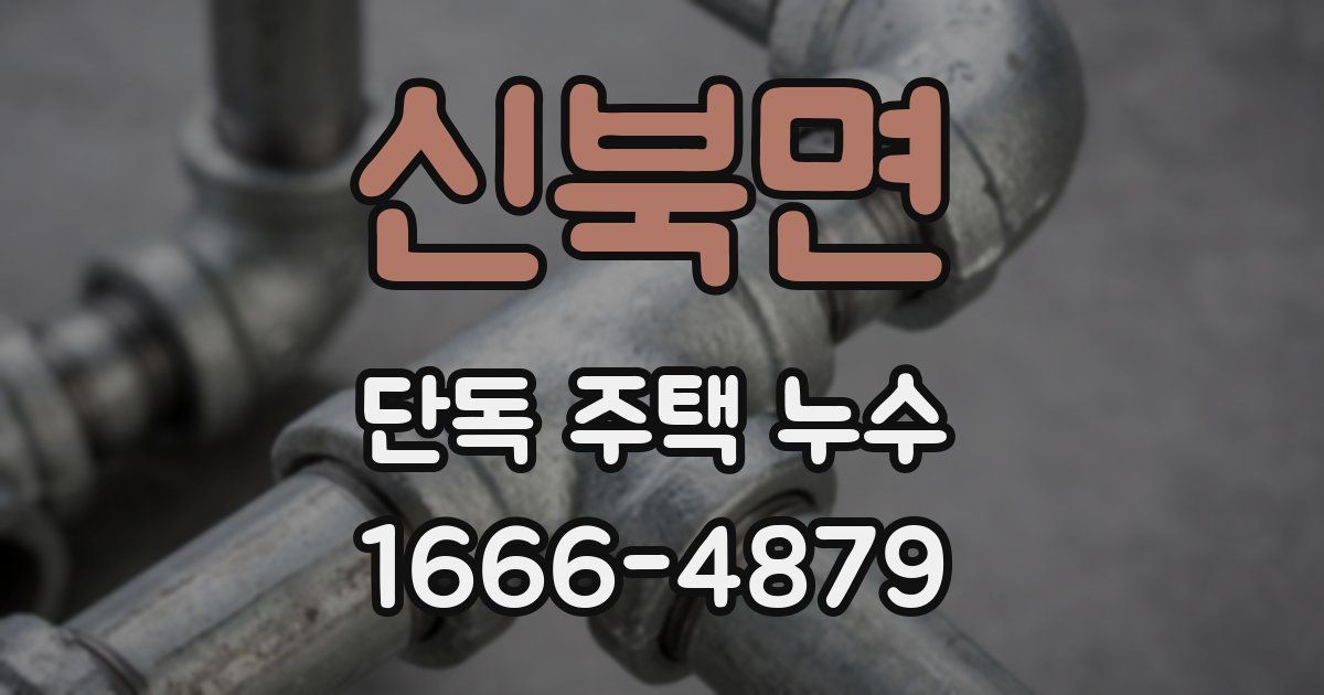 신북면 단독 주택 누수