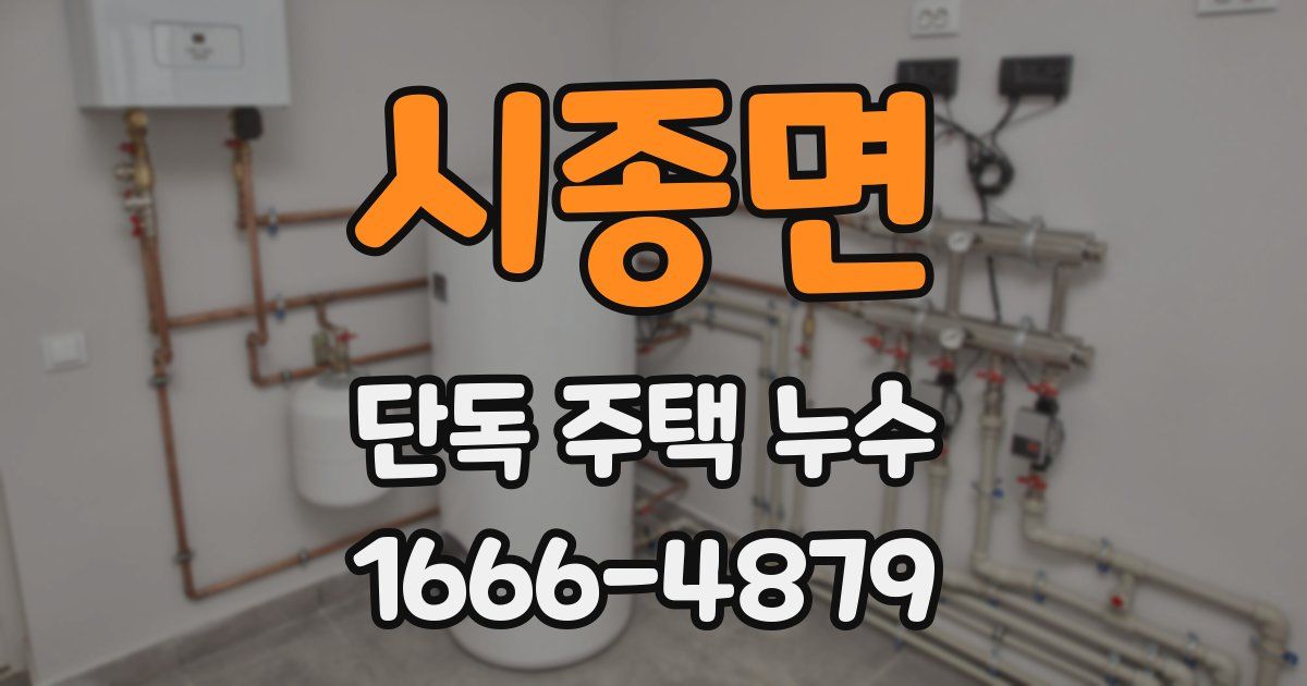 시종면 단독 주택 누수