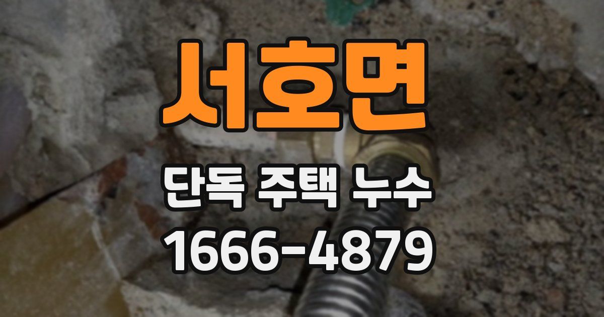 서호면 단독 주택 누수