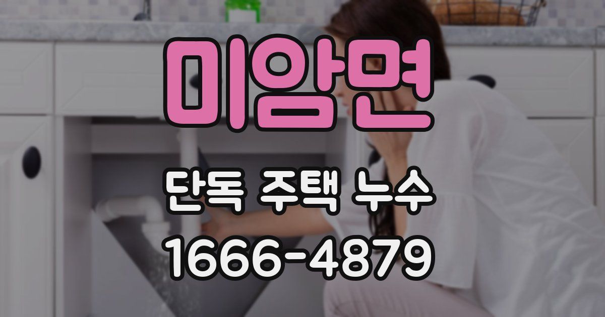 미암면 단독 주택 누수