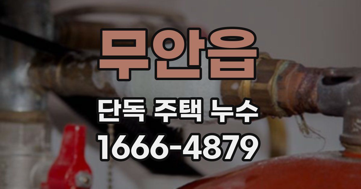 무안읍 단독 주택 누수