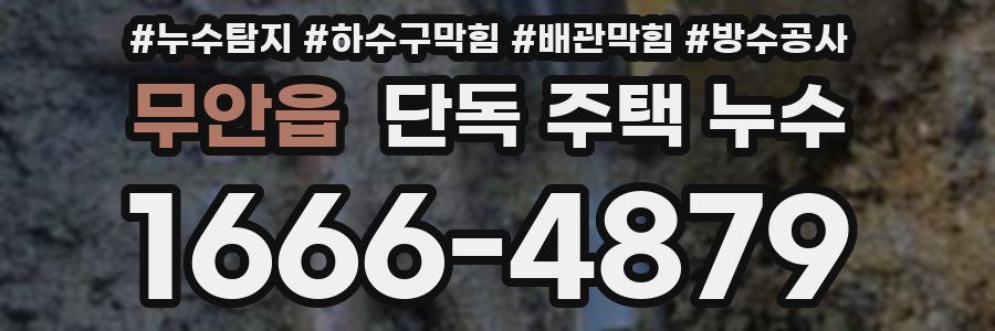 무안읍 단독 주택 누수