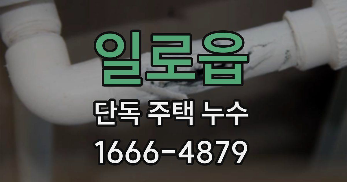 일로읍 단독 주택 누수