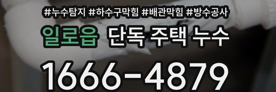 일로읍 단독 주택 누수
