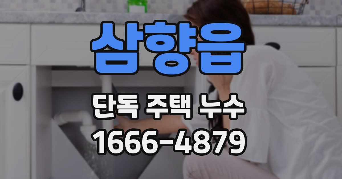 삼향읍 단독 주택 누수
