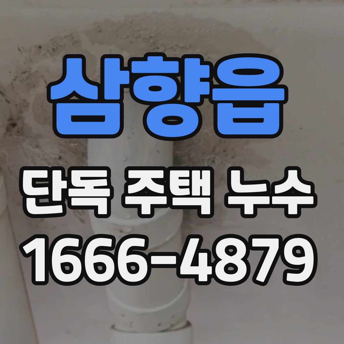삼향읍 단독 주택 누수