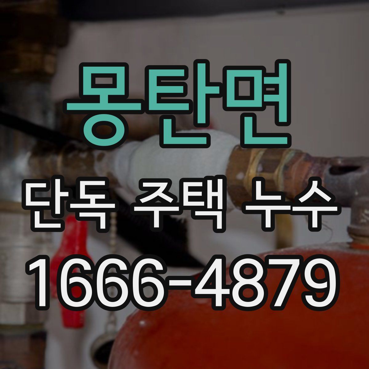 몽탄면 단독 주택 누수