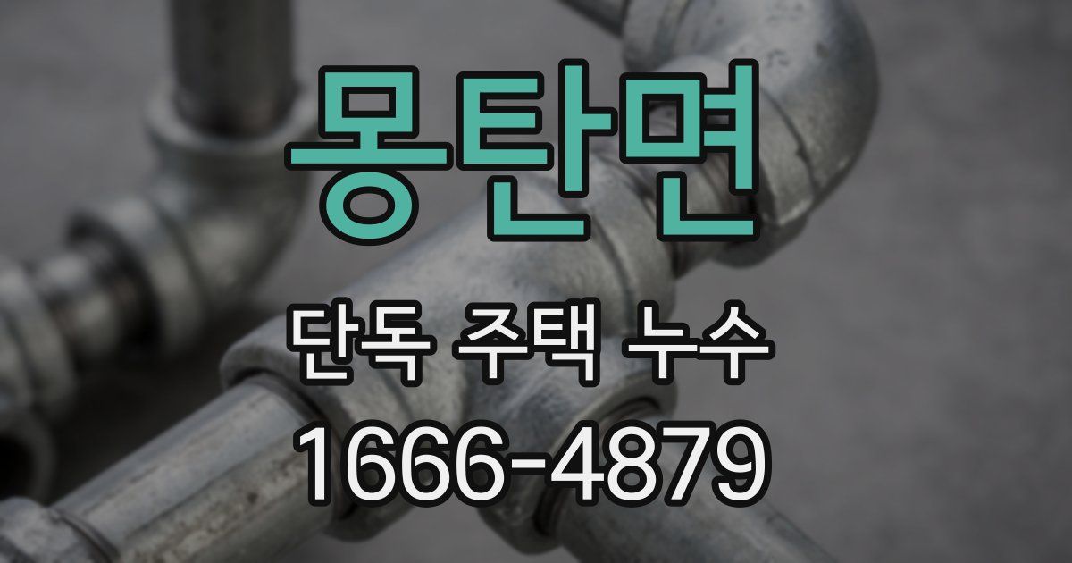 몽탄면 단독 주택 누수