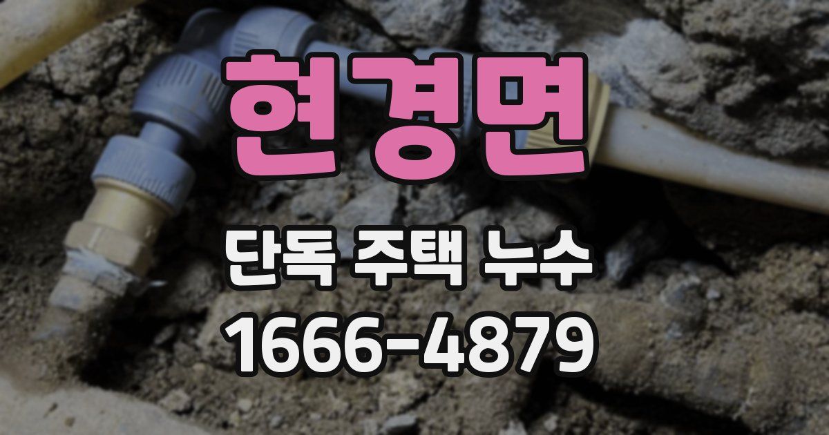 현경면 단독 주택 누수