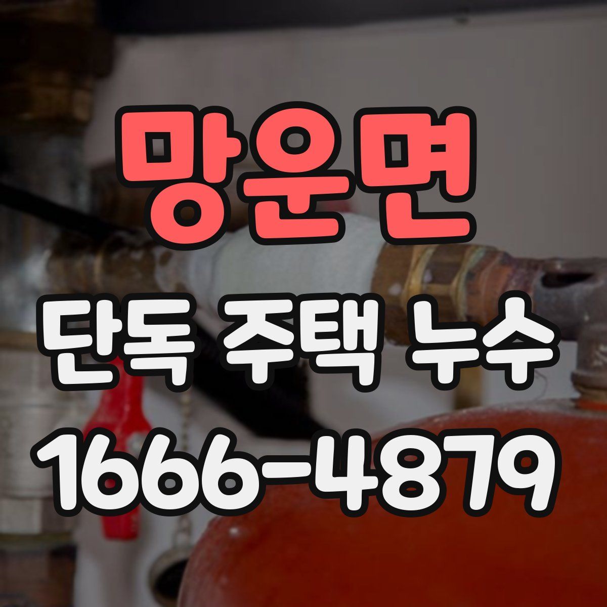 망운면 단독 주택 누수