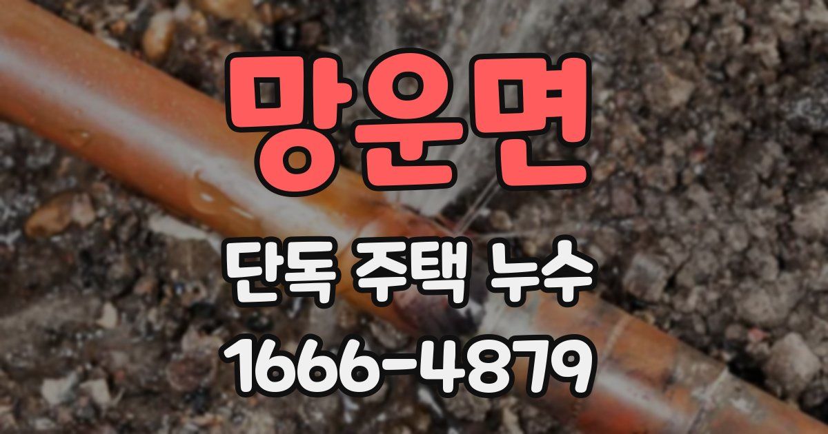 망운면 단독 주택 누수