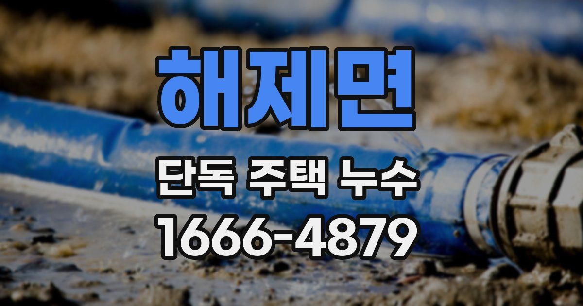해제면 단독 주택 누수