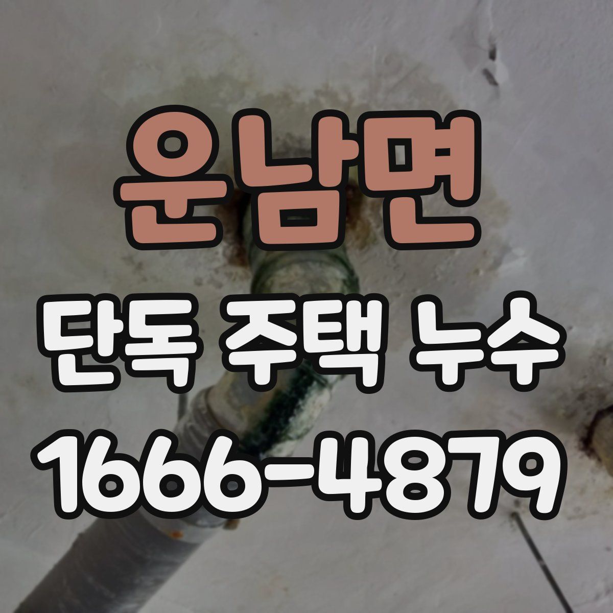 운남면 단독 주택 누수