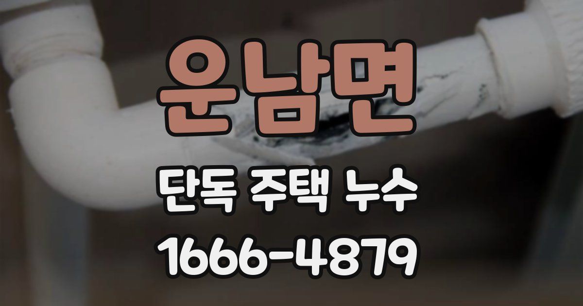 운남면 단독 주택 누수