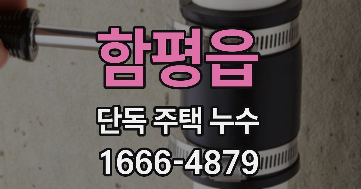 함평읍 단독 주택 누수