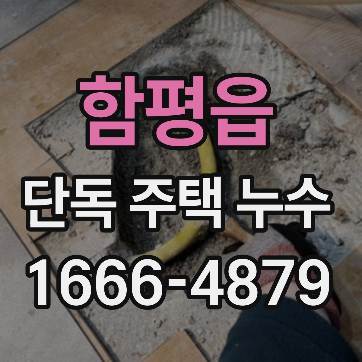 함평읍 단독 주택 누수