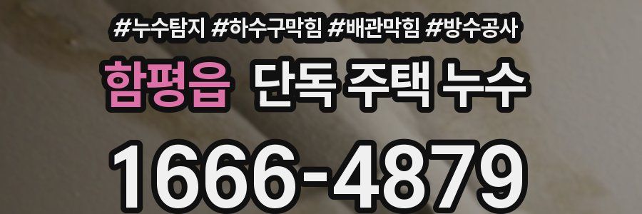 함평읍 단독 주택 누수