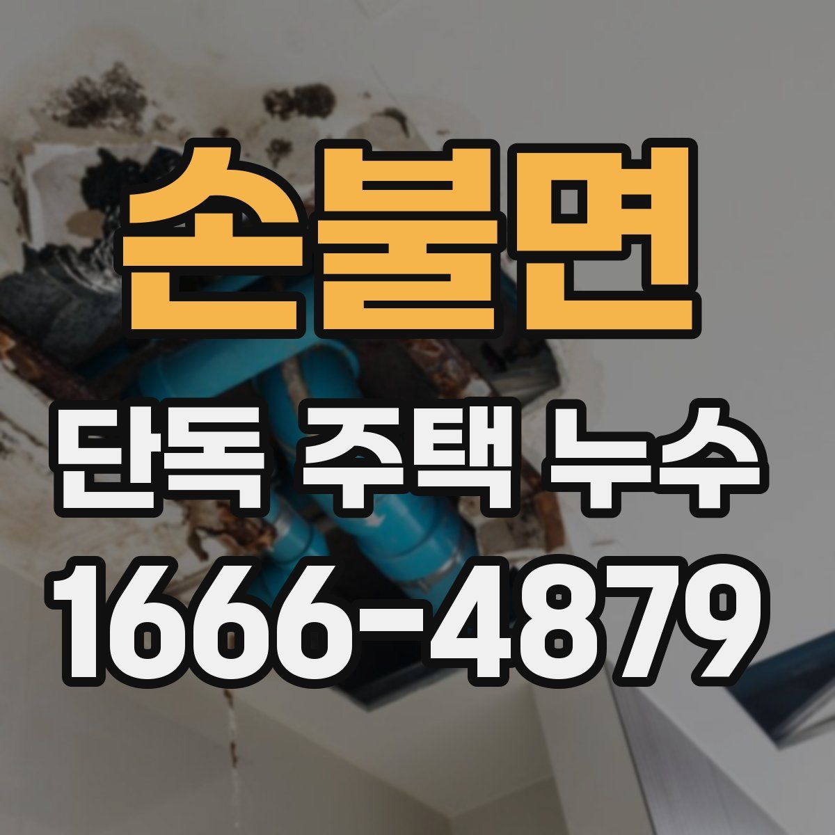 손불면 단독 주택 누수
