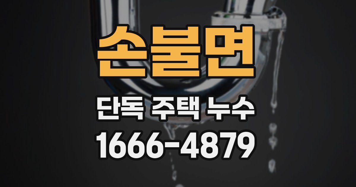 손불면 단독 주택 누수