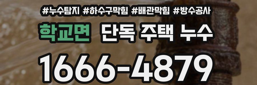 학교면 단독 주택 누수