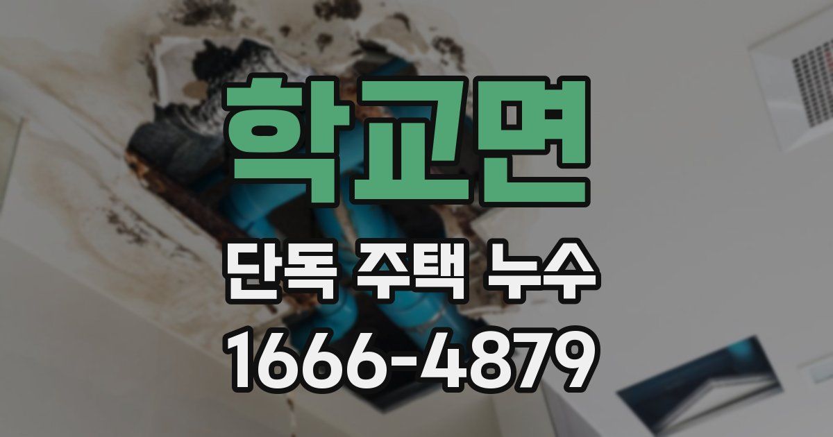 학교면 단독 주택 누수