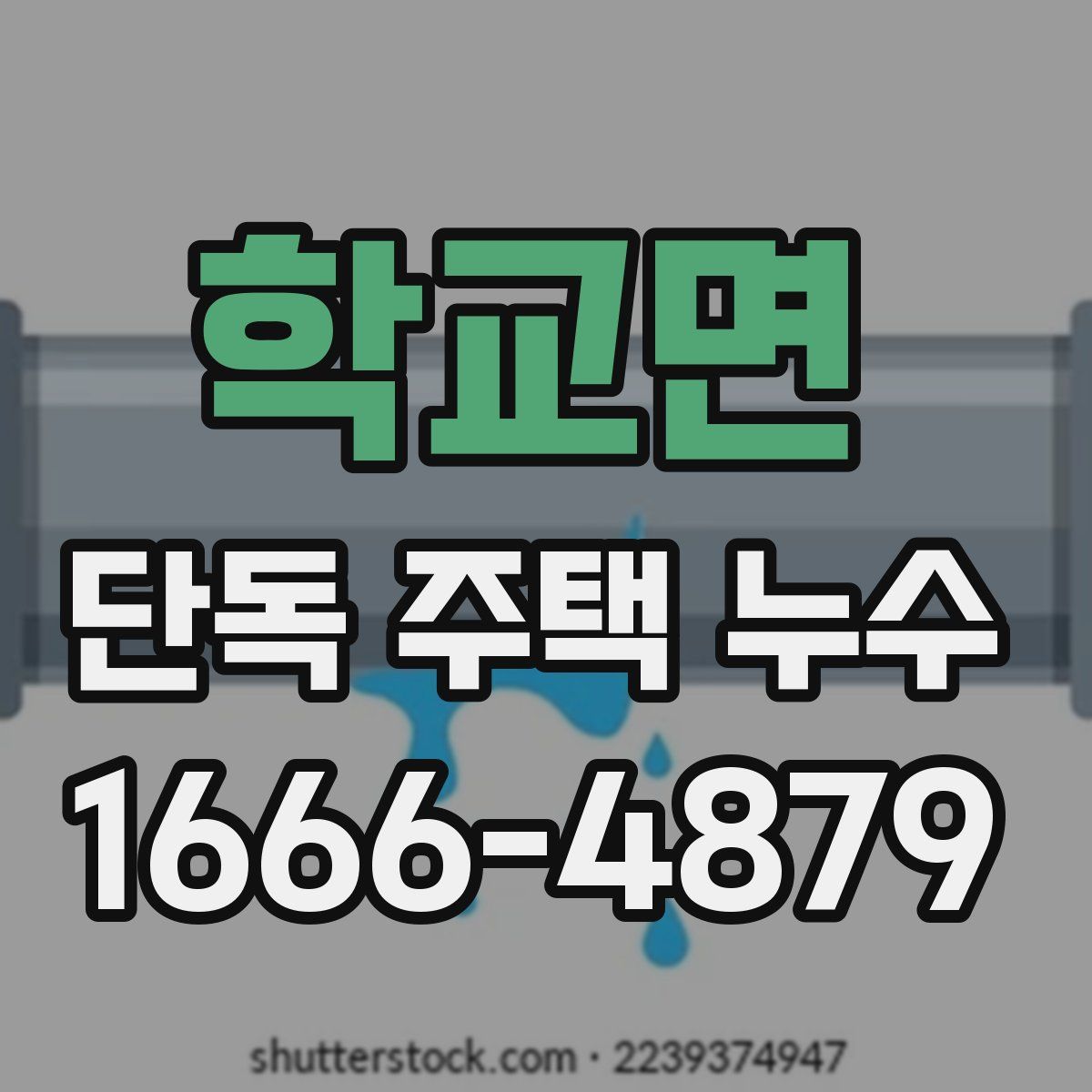 학교면 단독 주택 누수