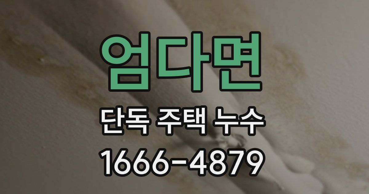 엄다면 단독 주택 누수