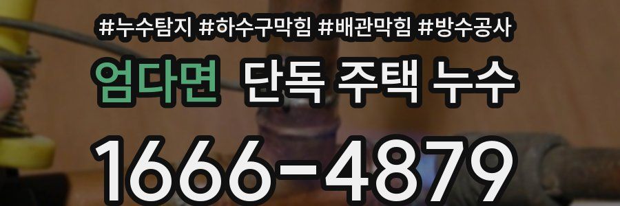 엄다면 단독 주택 누수