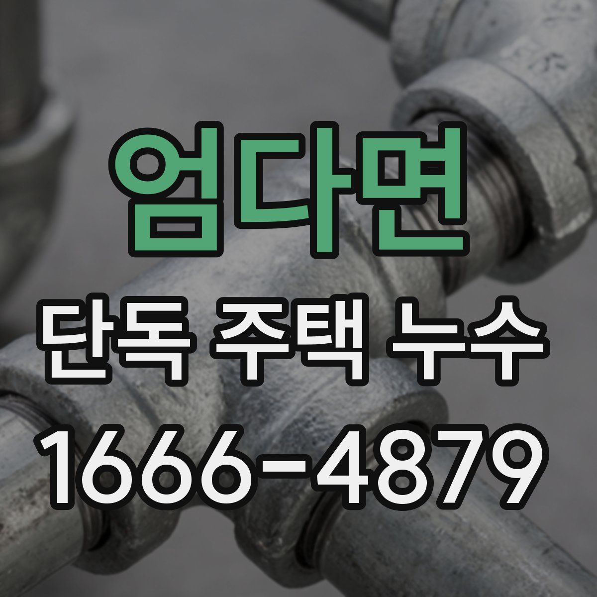 엄다면 단독 주택 누수