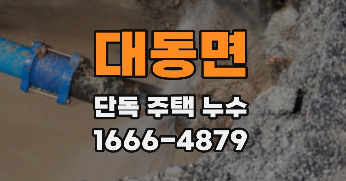 대동면 단독 주택 누수